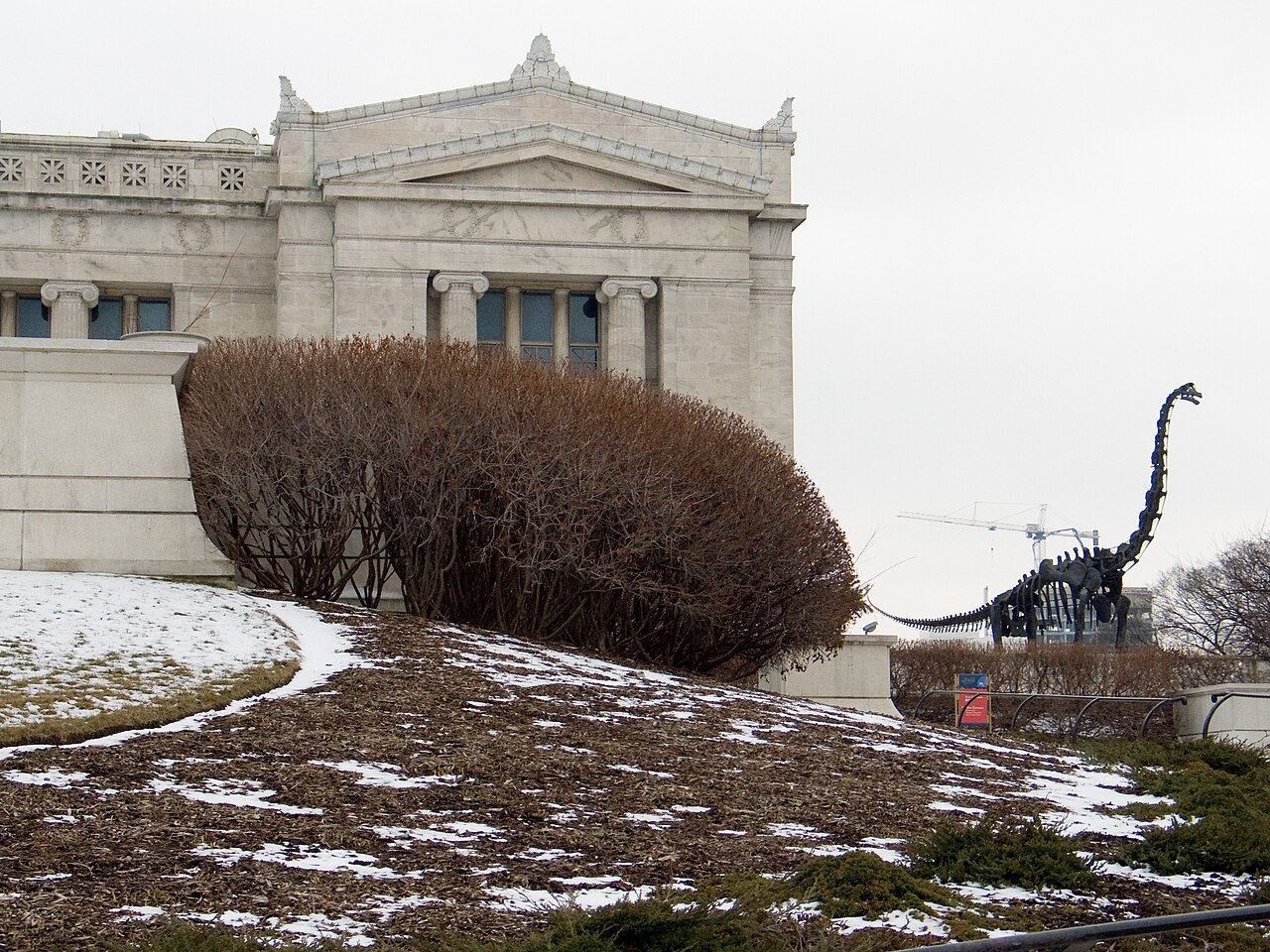 Fachada del Field Museum de Historia Natural en Chicago, con la réplica de un esqueleto de dinosaurio junto al edificio, en una imagen de archivo